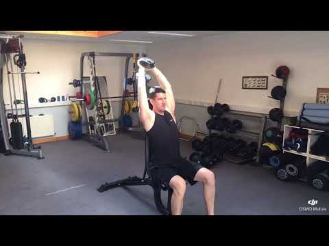 Seated Dumbbell French Press