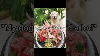 Download lagu I'm not crying you are :( #animalawareness #stopanimalabuse #homelesspets #sad #fypage #fyp mp3