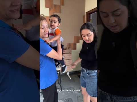 Thor e a Jade levando o Samuca pra escola ! #familiapitbull #pitbull #shorts