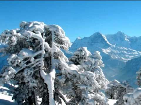 Reza- Naji  - irani new.wmv