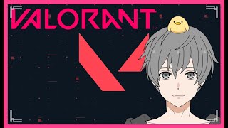 【VALORANT】やることがねぇんだ