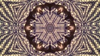 Neil Michael Hagerty & The Howling Hex "Colfax West" (Official Music Video)