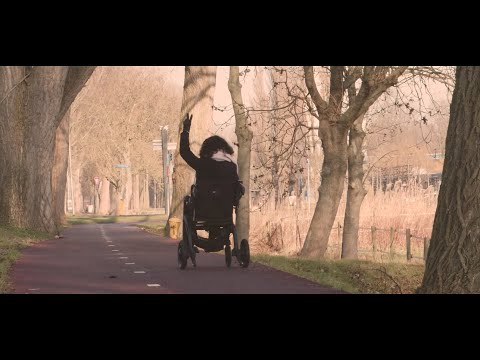 Rollz Motion Electric