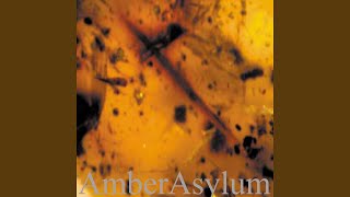 Journey to the Sleepy Water