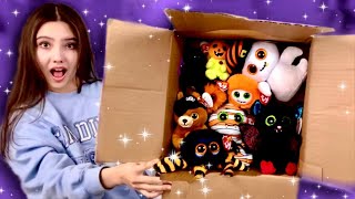 *SPOOKY* 2023 BEANIE BOO HAUL