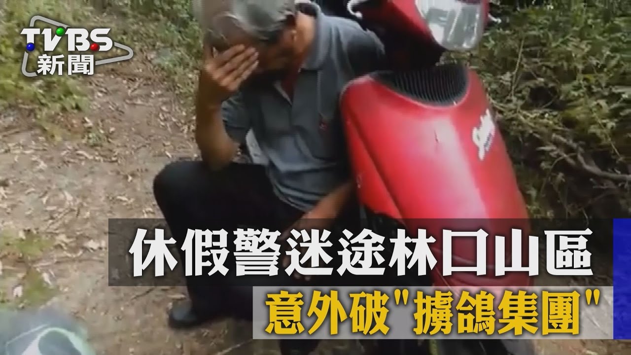 休假警迷途林口山區　意外破擄鴿集團