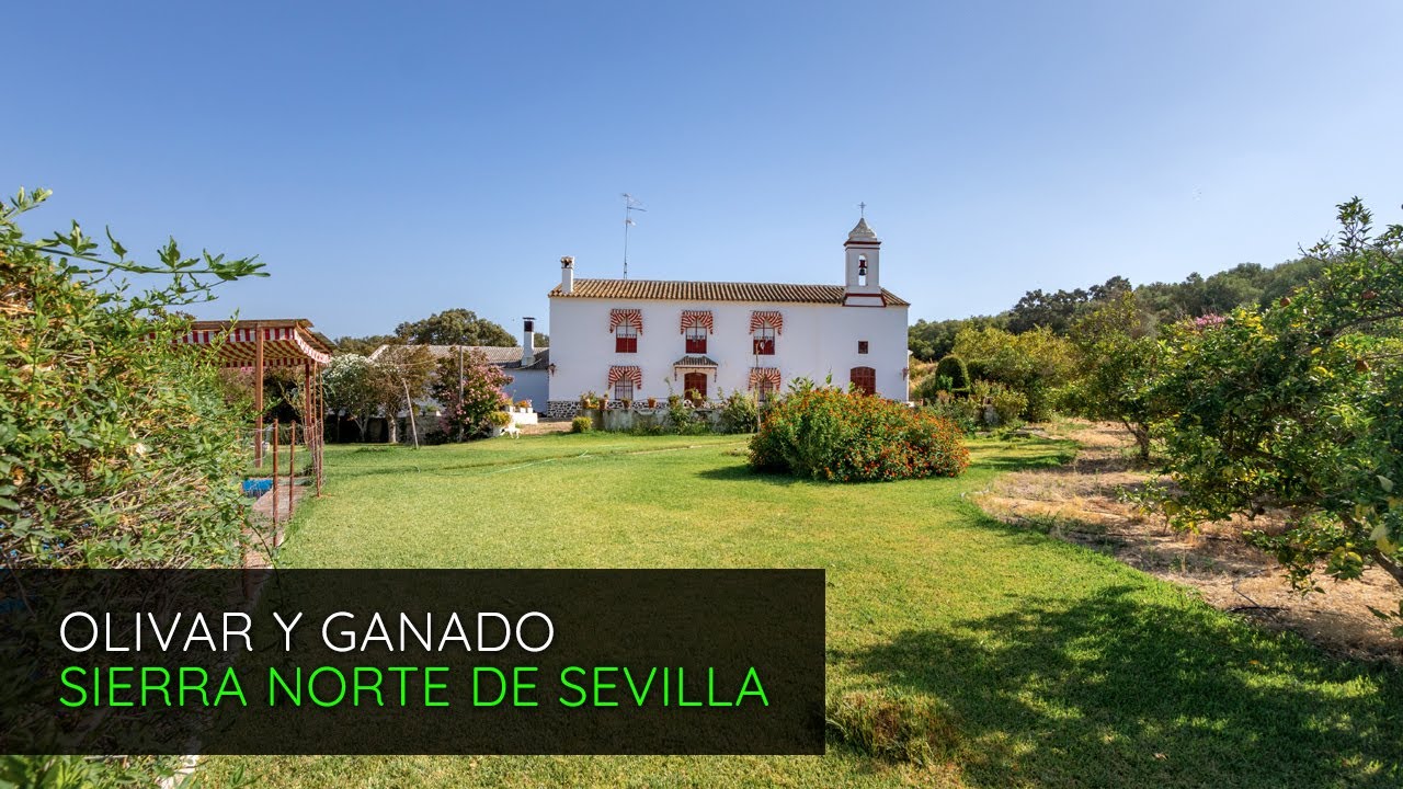 Finca de 300 hectáreas en venta en la Sierra Norte de Sevilla P2852