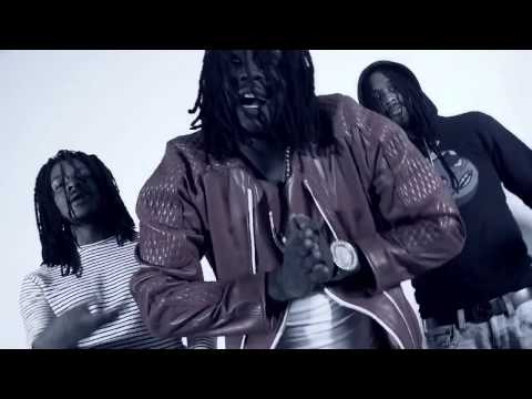 Video thumbnail for Vet Lungs