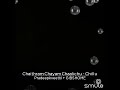 Chaithram Chayam Chalichu