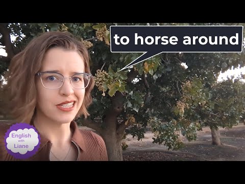 Phrasal Verb - to horse around