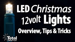 LED 12volt AC Christmas Lights for your existing Outdoor Lighting System & Overview