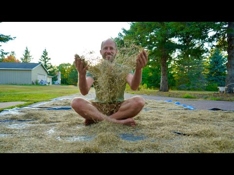 Foraging 100% of My Food for the Next Month!