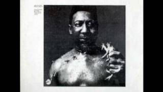 Muddy Waters - Rambin' Mind (1969)