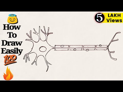 How to neuron step by step for beginners ! Video