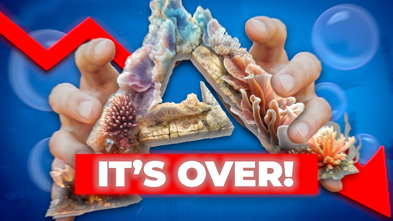 The Downfall of Ark Aquatica...