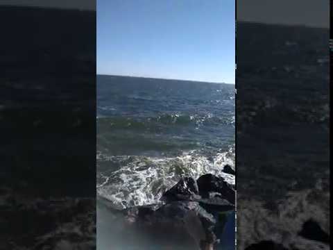 Sea Waves @ Melbourne | Australia | Melbourne Beach | Windy