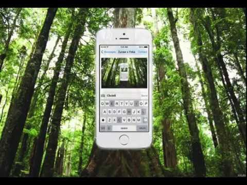 Żuraw x Peka - Chcieli