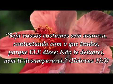 Eu Não te Deixei   Janaína Brandão   Playback