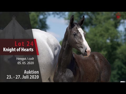 Westf. Online Auktion 23. - 27. Juli: Lot 24 Knight of Hearts Hengst v. Karajan - Cornet Obolensky