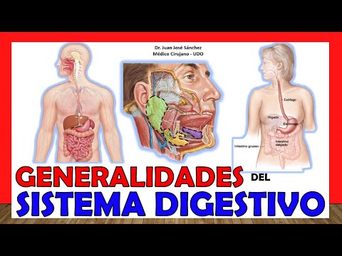 🥇 DIGESTIVE SYSTEM in 16 Minutes!!. Easy and simple!