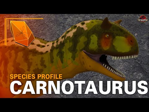 Carnotaurus Species Profile
