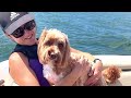 Summer Dayz Eildon