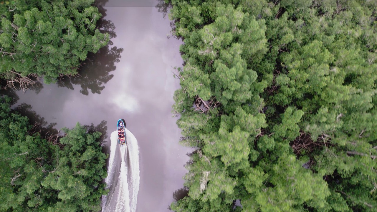 People Rising: Carbon Justice