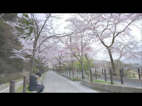 spring, morning, ambient session