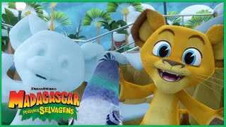 Está Sempre Nevando! | DreamWorks Madagascar em Português