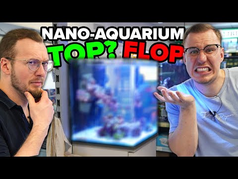 MASTERPIECE or FOULARD? - The NANO aquarium today!