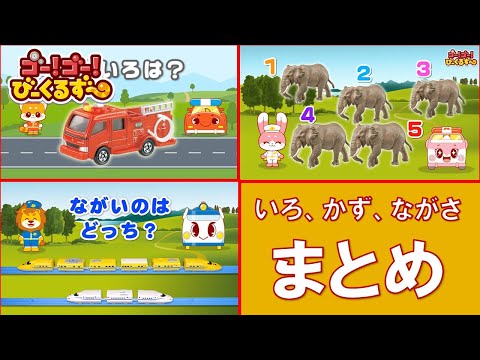 【公式】びーくるずー「いろ、かず、ながさ まとめ」【トミカ・プラレール・アニア】