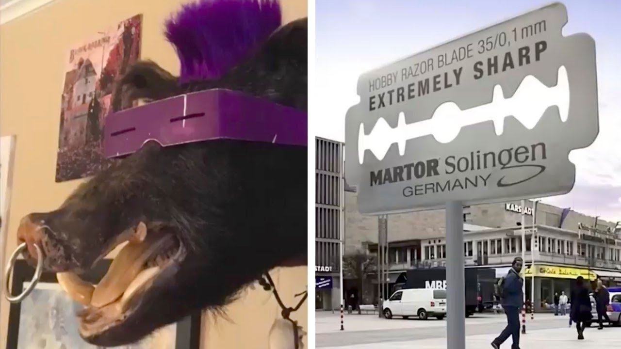 Снимки, вызывающие “серьёзно!”