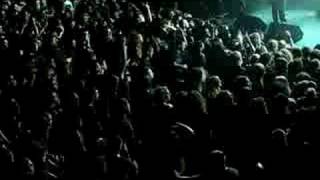 Wall Of Death Despised Icon