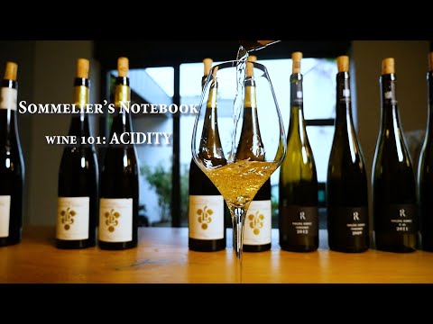 The Most Important Taste in Wine | An Intro to Acidity | Learn from the Pros