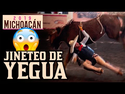 Dangerous Repairs, Dynamite Mares, and the Best Riders - Morelia Congress 2019