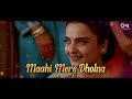 Song Dil Laga Liya