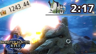 2分台に到達したバサルモス最小金冠マラソン ヘビィ2:17【MHRise】