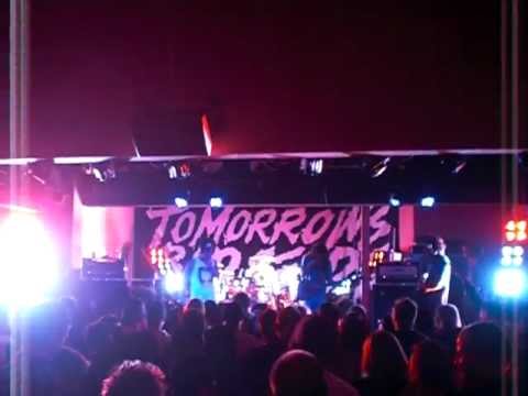 Tomorrows Bad Seeds - Valerie (Amy Winehouse Cover)