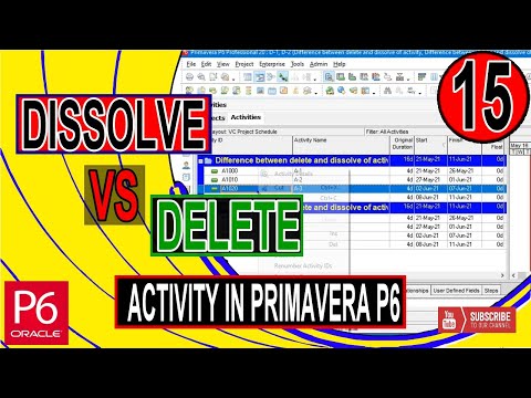 Save print Settings using Import and Export Primavera P6 layout Files Plf Solutions Tricks