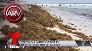 Algas casi devoran a una bañista en México | Al Rojo Vivo