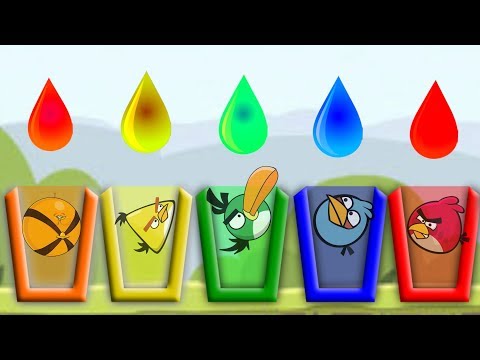 Angry Birds Drink Water 2 - EVERY BIRDS NEED COLOR CUP OF WATER!!