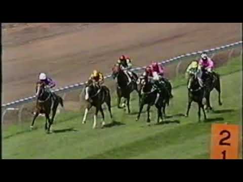 1993 Apollo Stakes - Naturalism