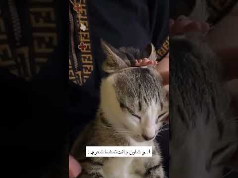 امي شلون جانت تمشط شعري 😂#shorts #بنات #فيديو #ضحك #اكسبلور #لايك #اشتراك