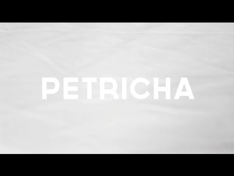 Petricha - Light Marks