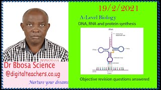DNA, RNA and protein synthesis objective questions
