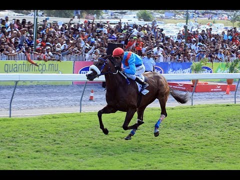 THE AIR MAURITIUS MAIDEN CUP 2017 - ENAAD (Steven Arnold) [GROUP 1]