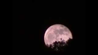 preview picture of video 'Moon rise - La Luna sorge a Pomonte (Isola d'Elba)'