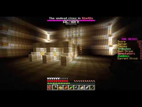 Minecraft Nexus Hunger Games