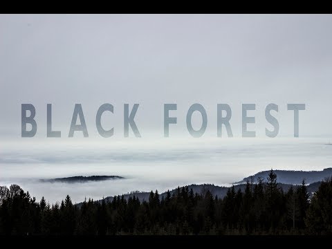The Black Forest: Birthplace of Fairy Tales