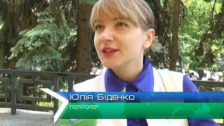 Відкриті чи закриті партійні списки: парламентські вибори в Україні